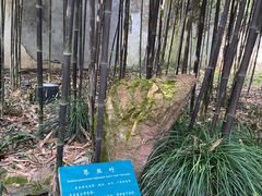 -杭州黄龙洞