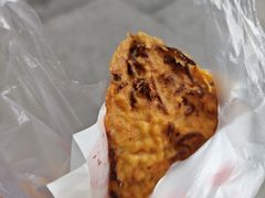 -半月镰胡姐脆皮萝卜饺子