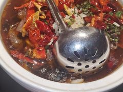 -羽鸽集·乳鸽专门店·地道顺德菜(岭南站店)