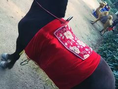 -天目湖御水温泉·度假酒店