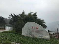 -铁山坪森林公园