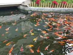 -番禺宾馆丽苑厅