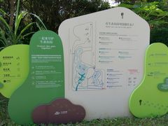 -福田红树林生态公园