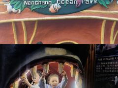 -南昌海洋公园