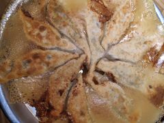 -劈柴院锅贴(沈阳路店)