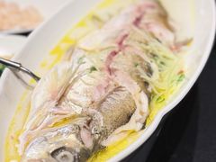 -苏帮袁Sue Cuisine(将台店)
