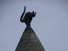 -猫之屋