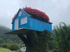 -广州市石门国家森林公园