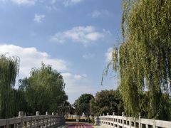 -尚贤河湿地