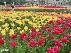 -长春公园(普阳街道)