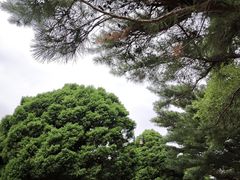 -北陵公园