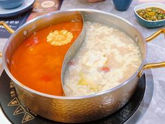 -濠七糟粕醋·椰子鸡火锅(上海首店)