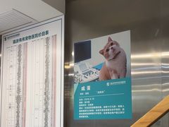 -伟伟宠物医院·CT影像中心·瑞派犬猫综合性门诊(汉口总院)