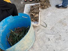 -珠海金沙滩