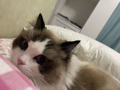 -赛百味SUBWAY(凯丹店)