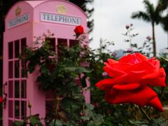 -人民公园(罗湖区)