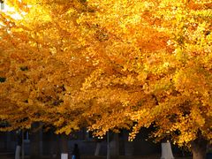 -辽宁大学(崇山校区)