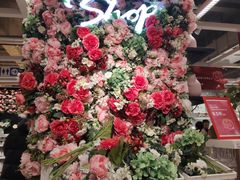 -宜家家居(哈尔滨商场店)