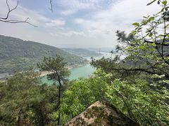 -南山植物园