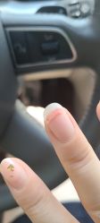 -丫丫NAIL日式自助美甲美睫沙龙