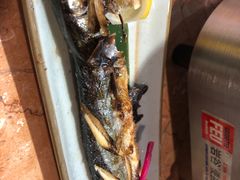 -万岁料理回转寿司(华贸店)
