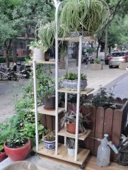 点击看大图 -纤缕坊造型