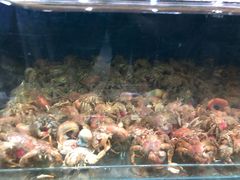 寄居蟹-海味当家·蒸锅海鲜(中山广场创始店)