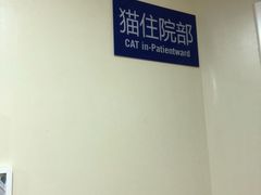 -芭比堂宠物医院·全科爱猫医院·仁德分院