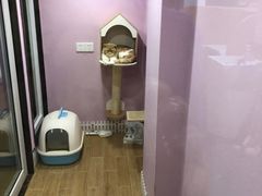 -联合动物医院(光谷诊疗中心)