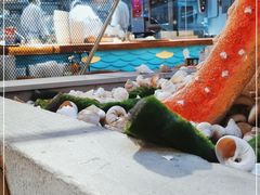-船歌鱼水饺(华联万柳店)