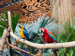 -杭州开元森泊度假乐园