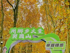 -窦圌山风景区