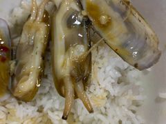 -长平肥姐白粥·海鲜打冷