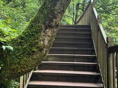 -瓦屋山景区
