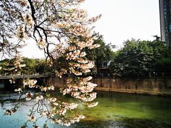 -红星桥(地铁站)