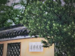 -观音山
