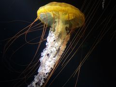 -欢乐海岸海洋奇梦馆