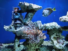 -太平洋海底世界