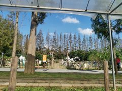 -前小桔亲子创意农场·草莓采摘·露营烧烤