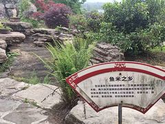 -都江堰玫瑰花溪谷