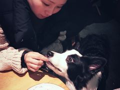 -Wagas沃歌斯(大学路店)