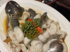 青花椒蒸龙胆鱼-闽和南(深圳万象城店)