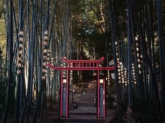 -杭州黄龙洞