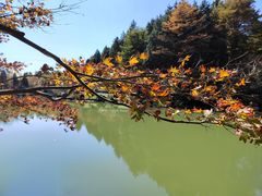 -四明山国家森林公园