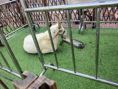 -首创奥特莱斯(昆山店)