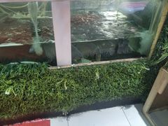 -秋语木桶鱼.酸菜鱼(开发区火车站店)