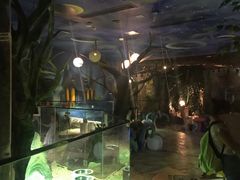 -zoonana室内动物园(东方福来德店)