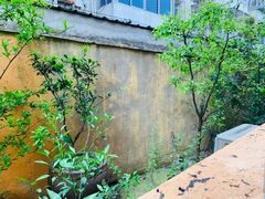 -吴家馄饨
