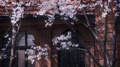 -上海瑞金洲际酒店·宴会厅