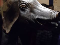 -珠海市博物馆